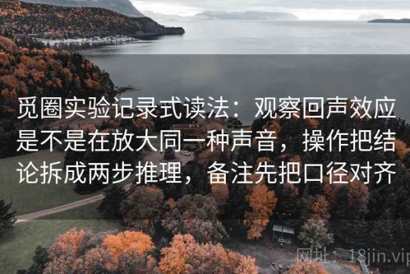 觅圈实验记录式读法：观察回声效应是不是在放大同一种声音，操作把结论拆成两步推理，备注先把口径对齐