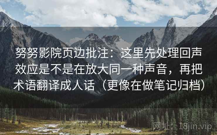 努努影院页边批注：这里先处理回声效应是不是在放大同一种声音，再把术语翻译成人话（更像在做笔记归档）